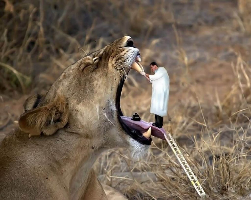 Photoshoppad tandläkare i lejons mun